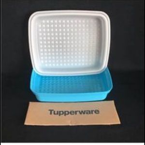 Tupperware season/serve marinate containers